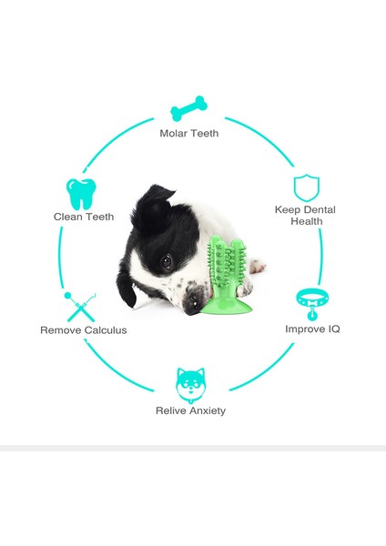 Mavi Yenı Köpek Diş Fırçası Oyuncakları Köpekler Için Interaktif Oyuncak Eğitimi Iq Diş Temizleme Dayanıklı Küçük Orta Büyük Köpek Yavrusu Çiğneme (Yurt Dışından) modelleri