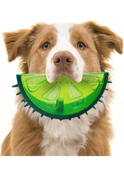 B Pet Soğutma Çiğneme Oyuncağı Yeniden Kullanılabilir Köpek Soğutma Oyuncak Diş Çıkarma Halkası Soğutma Köpek Oyuncak Dayanıklı Yaz Köpek Buz Oyuncak Dondurulmuş Meyve Şekli Oyuncak (Yurt Dışından) modelleri