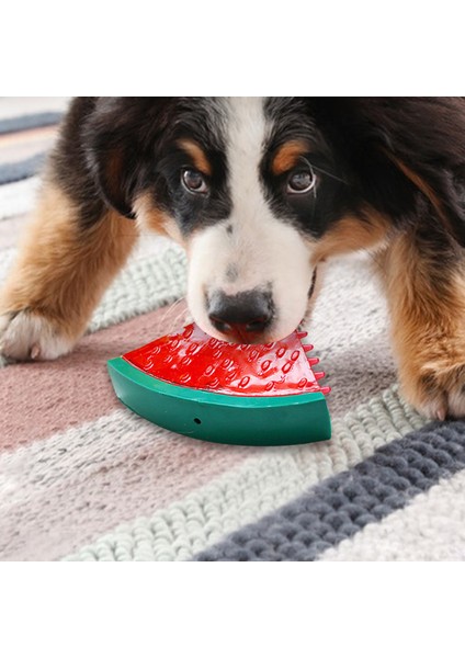 B Pet Soğutma Çiğneme Oyuncağı Yeniden Kullanılabilir Köpek Soğutma Oyuncak Diş Çıkarma Halkası Soğutma Köpek Oyuncak Dayanıklı Yaz Köpek Buz Oyuncak Dondurulmuş Meyve Şekli Oyuncak (Yurt Dışından) indirimleri