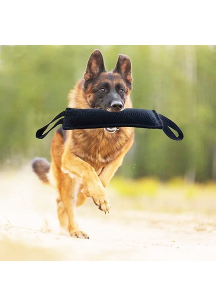 Fotoğraf Olarak Köpek Römorkör Oyuncak Köpek Sert Jüt Isırık Yastık Dayanıklı, Yavru Köpekten Büyük Köpeklere Eğitim Ekipmanları Interaktif Oyuncak (Yurt Dışından) indirimleri