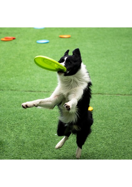 Kırmızı B 180 mm Köpek Oyuncak Özel Eğitim Uçan Diskler Interaktif Yumuşak Isırmaya Dayanıklı Sinek Dairesi Oyuncak Plaka Küçük Büyük Köpekler Için Çiğneme Oyuncak Oyna (Yurt Dışından)