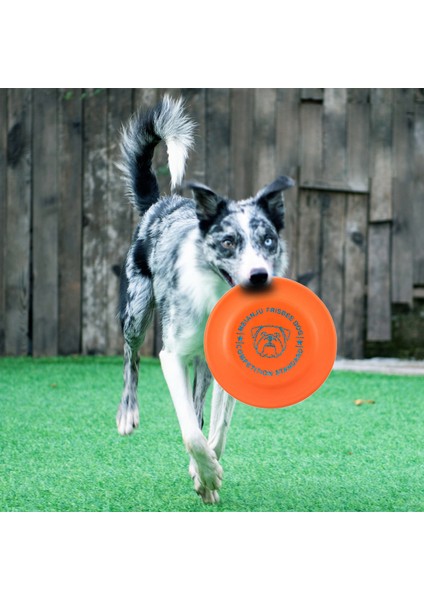 Kırmızı B 180 mm Köpek Oyuncak Özel Eğitim Uçan Diskler Interaktif Yumuşak Isırmaya Dayanıklı Sinek Dairesi Oyuncak Plaka Küçük Büyük Köpekler Için Çiğneme Oyuncak Oyna (Yurt Dışından)