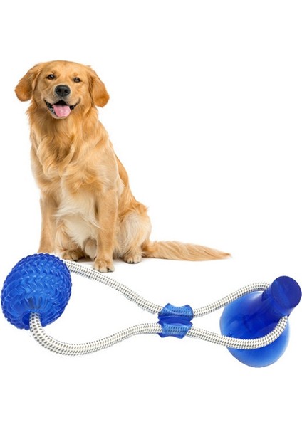 Mor Interaktif Köpek Oyuncakları Pet Köpek Vantuz Itme Tpr Topu Oyuncaklar Molar Bite Oyuncak Elastik Halatlar Köpek Diş Temizleme Çiğneme Malzemeleri (Yurt Dışından) fırsatları