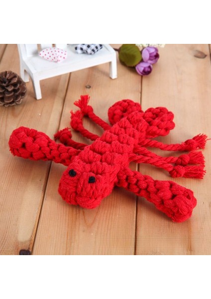 Crayfi 19CM Resim Olarak Köpek Oyuncakları Pamuk Halat Köpek Çiğneme Oyuncakları Büyük Küçük Köpekler Için Hayvan Dayanıklı Örgülü Köpek Molar Temizleme Dişleri Köpek Malzemeleri (Yurt Dışından)