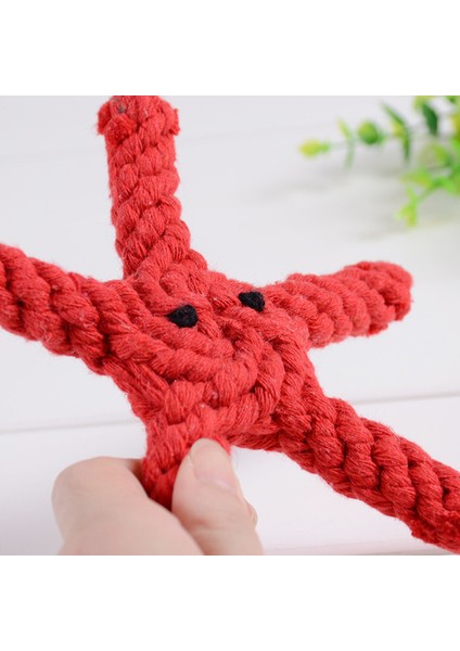 Crayfi 19CM Resim Olarak Köpek Oyuncakları Pamuk Halat Köpek Çiğneme Oyuncakları Büyük Küçük Köpekler Için Hayvan Dayanıklı Örgülü Köpek Molar Temizleme Dişleri Köpek Malzemeleri (Yurt Dışından)