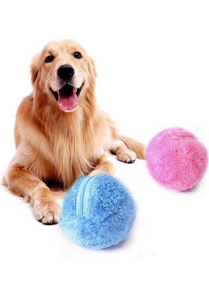 1 Top ve 4 Torba L 5 Adet Pratik Sihirli Makaralı Top Oyuncak Seti Toksik Olmayan Güvenli Otomatik Makaralı Top Sihirli Top Köpek Kedi Pet Interaktif Oyuncak (Yurt Dışından)