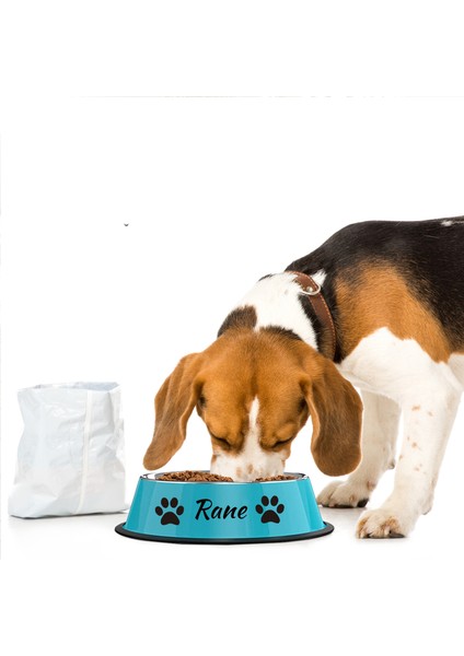 Mavi Xl (1500ML) Kedi Köpek Için Kişiselleştirilmiş Isim Paslanmaz Çelik Renkli Pet Yavru Kedi Kasesi Kaymaz Dayanıklı Hayvan Kasesi Besleyici Besleme Köpek Su Kasesi (Yurt Dışından) indirimleri