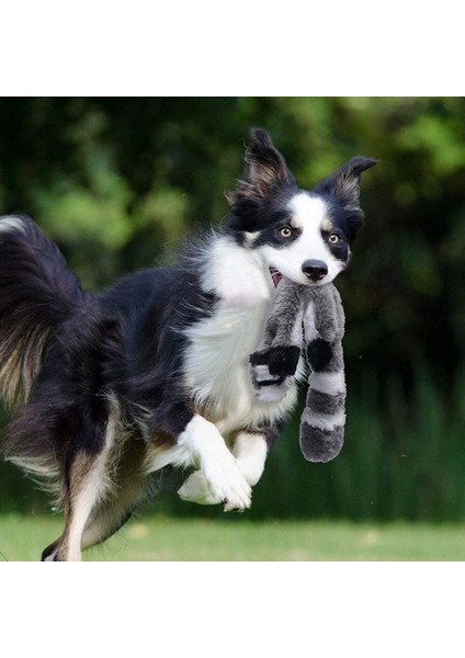 Sincap Sıska Hiçbir Doldurma Cızırtılı Peluş Köpek Çiğneme Oyuncakları Sevimli Simüle Hayvan Şekli Köpek Çiğneme Oyuncağı Dayanıklı Pet Köpek Oyuncak Squeakers ile (Yurt Dışından) fırsatları
