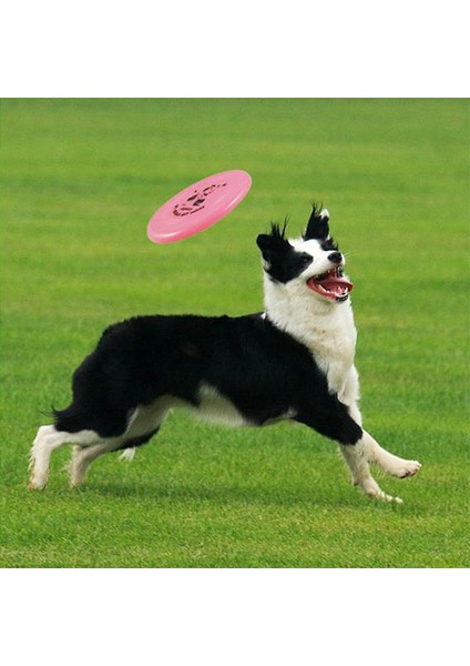 Rastgele Renk 20 cm Köpek Uçan Disk Oyuncak Plastik Uçan Daire Pet Interaktif Çiğneme Oyuncakları Direnç Bite Komik Köpek Eğitim Oyuncak Köpek Aksesuarları (Yurt Dışından) fiyatları