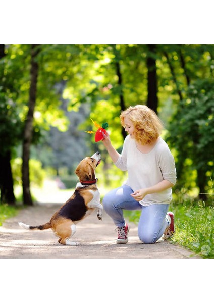 Havuç Evcil Hayvan Oyuncakları Meyve Hayvanlar Karikatür Köpek Oyuncakları Dolması Gıcırdayan Pet Oyuncak Sevimli Peluş Bulmaca Köpekler Için Kedi Çiğnemek Squeaker Cızırtılı Oyuncak (Yurt Dışından)