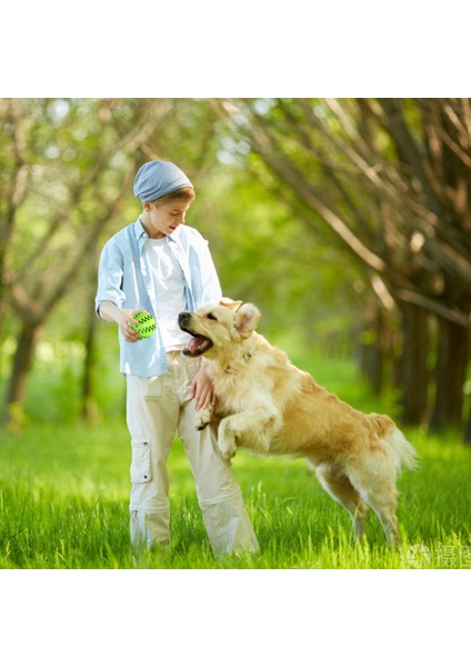 Kırmızı Çap 5 cm Pet Köpek Oyuncak Küçük Büyük Köpekler Için Interaktif Lastik Toplar Yavru Kedi Çiğneme Oyuncağı Pet Diş Temizleme Taşlama Pet Çiğneme Aksesuarları (Yurt Dışından)