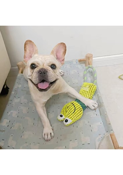Stil 5 Resim Olarak Isırmaya Dayanıklı Pet Köpek Çiğneme Oyuncak Küçük Orta Köpekler Için Squeak ile Chihuahua Labrador Yavru Temizleme Diş Oyuncakları Evcil Hayvan Malzemeleri (Yurt Dışından)