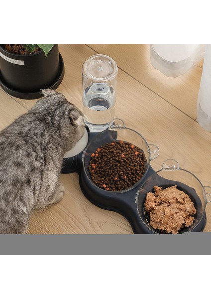 Derin Mavi Pet Kedi Kase Otomatik Besleyici 3'ü 1 Arada Köpek Kedi Maması Kase Su Çeşmesi Çift Kase Içme Yükseltilmiş Standı Çanak Kaseler Kediler Için (Yurt Dışından) indirimleri