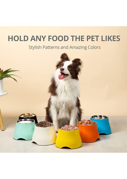 Gri S 12X8.5X16 cm Ulmpp Köpek Kasesi Paslanmaz Çelik Yükseltilmiş Düz Renk Pet Besleme Besleyici Köpek Içecek Su Maması Yükseltme Tabağı Köpek Malzemeleri Evcil Hayvan Ürünleri (Yurt Dışından) modelleri