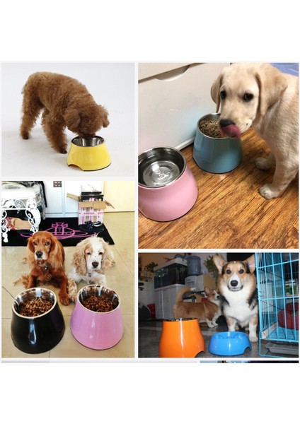 Gri S 12X8.5X16 cm Ulmpp Köpek Kasesi Paslanmaz Çelik Yükseltilmiş Düz Renk Pet Besleme Besleyici Köpek Içecek Su Maması Yükseltme Tabağı Köpek Malzemeleri Evcil Hayvan Ürünleri (Yurt Dışından) indirimleri