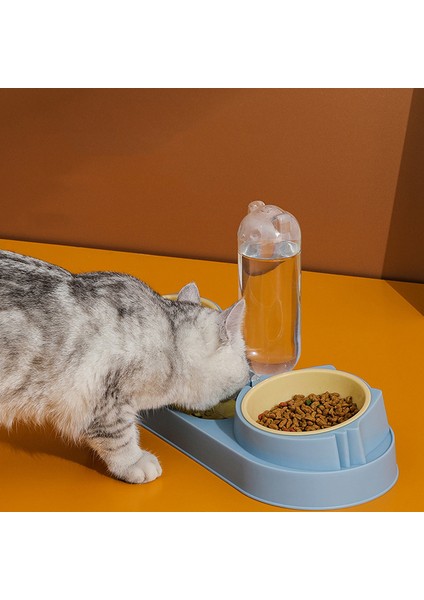 Mavi Sıradan Pet Kedi Çift Kase Devrilme Önleyici Boyun Koruma Köpek Otomatik Yiyecek Kasesi Su Sebili Kabı Gıda Su Sebili Seti (Yurt Dışından) indirimleri