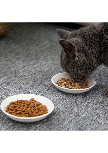 Siyah Balık S Yeni Yaratıcı Sevimli Kedi Küçük Tabak Şekli Mini Plaka Seramik Karikatür Tabak Yaratıcı Atıştırma Tabağı Chinchilla Sincap Kirpi Kase (Yurt Dışından)
