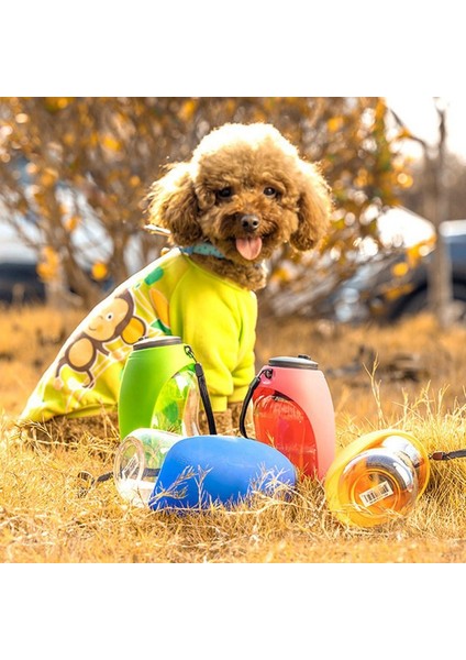Yeşil 680 ml Taşınabilir Pet Köpek Su Şişesi Yumuşak Silikon Yaprak Tasarım Seyahat Köpek Kase Yavru Kedi Içme Açık Pet Su Sebili (Yurt Dışından)
