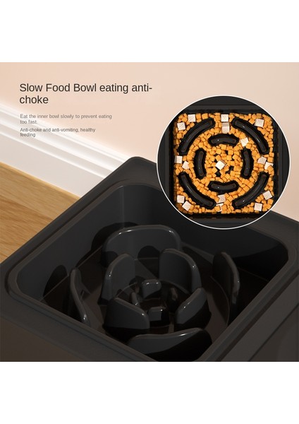 Tek Kase 4 In 1pet Köpek Çift Kaseler Paslanmaz Stand Ayarlanabilir Yükseklik Pet Mama Kabı Kase Büyük Köpek Köpekler Için Yükseltilmiş Gıda Su Besleyiciler (Yurt Dışından) indirimleri