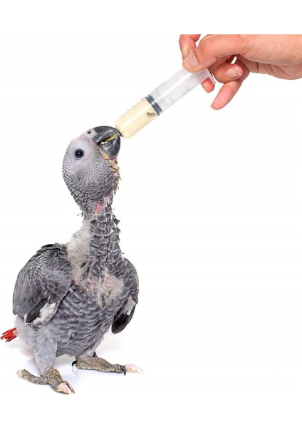 100 ml 100 ml Şırınga Plastik Yeniden Kullanılabilir Büyük Ölçüm Enjektör Araçları Köpek Kedi Besleme Sıvı Boya Epoksi Reçine Yağı Sulama Tesisleri (Yurt Dışından)