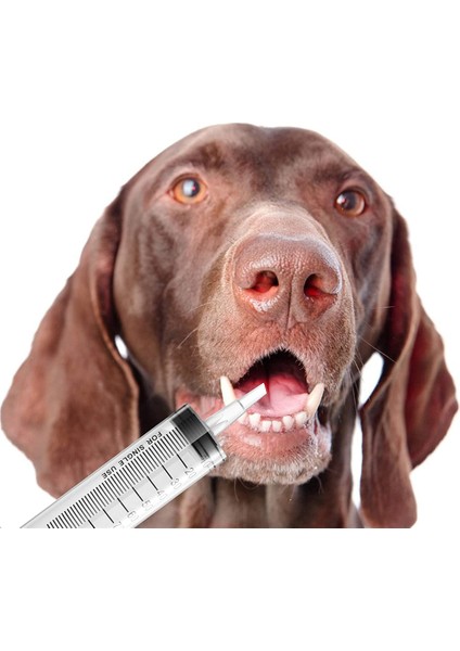 100 ml 100 ml Şırınga Plastik Yeniden Kullanılabilir Büyük Ölçüm Enjektör Araçları Köpek Kedi Besleme Sıvı Boya Epoksi Reçine Yağı Sulama Tesisleri (Yurt Dışından)
