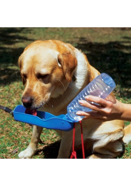 Yeşil 250 ml El Köpek Içme Suyu Şişeleri Katlanabilir Köpek Su Sebili Aşağı Çevirmek Su Besleyici Tava Evcil Hayvan Malzemeleri Aksesuarları (Yurt Dışından)