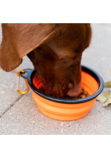Sarı 1000 ml Köpek Kase Pet Besleyici Su Kasesi Kediler Için Köpek Su Şişesi Evcil Hayvan Aksesuarları Açık Katlanır Silikon Kase PUPPY1000ML (Yurt Dışından) fırsatları