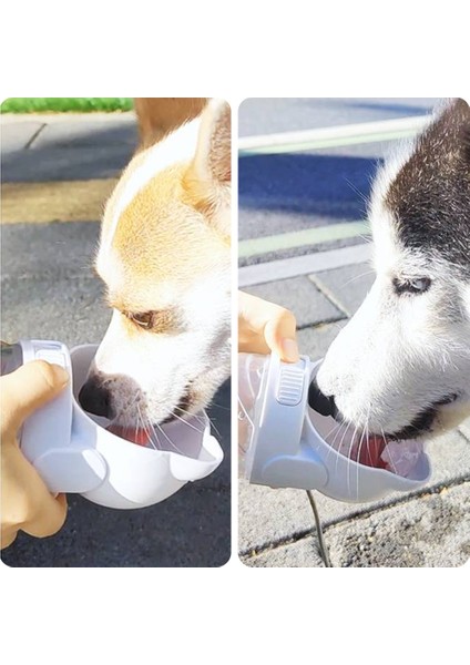 Pink2 350ML Taşınabilir Köpek Su Şişesi Yiyecek ve Su Deposu Köpek Yavrusu Evcil Hayvanlar Için Besleyici Kase Açık Seyahat Içme Kaseleri Su Sebili (Yurt Dışından) indirimleri