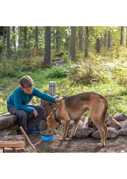 Mavi Katlanabilir Köpek Kaseleri Taşınabilir Seyahat Köpek Maması Su Kasesi Kapaklı ve Karabina Kapalı Açık Için Pet Gıda Kabı (Yurt Dışından) fırsatları