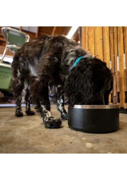 Kırmızı 32OZ 32OZ 64OZ Çift Duvar Kaymaz Paslanmaz Çelik Pet Köpek Maması Besleyici Su Kasesi Orta Büyük Evcil Köpek Çevre Dostu Kase (Yurt Dışından) indirimleri