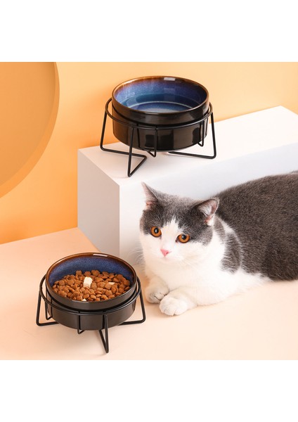 Çift Kaseler 850 ml Çift Kedi Mama Kaseleri Demir Standlı Yıldızlı Evcil Hayvan Besleme Kasesi Küçük Yavru Köpek Su Yemek Aksesuarları Kediler Servikal Omurgayı Koruyun (Yurt Dışından) modelleri