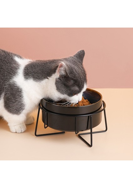 Çift Kaseler 850 ml Çift Kedi Mama Kaseleri Demir Standlı Yıldızlı Evcil Hayvan Besleme Kasesi Küçük Yavru Köpek Su Yemek Aksesuarları Kediler Servikal Omurgayı Koruyun (Yurt Dışından) fırsatları