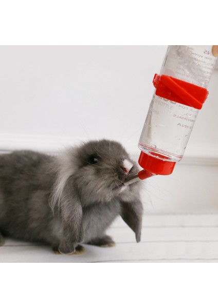 L 125 ml Yeşil Plastik Hamster Içme Çeşmesi Asma Sızdırmaz Rulo Boncuk Tavşan Hamster Için Büyük Kapasiteli Pet Su Sebili (Yurt Dışından) modelleri