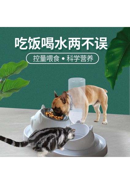 Yeşil 2'si 1 Arada Otomatik Köpek Besleyici Çok Fonksiyonlu Kedi Besleme Dağıtıcı Ayrılabilir Köpek Içme Suyu Şişesi ve Evcil Köpekler Için Yiyecek Kasesi (Yurt Dışından) fırsatları