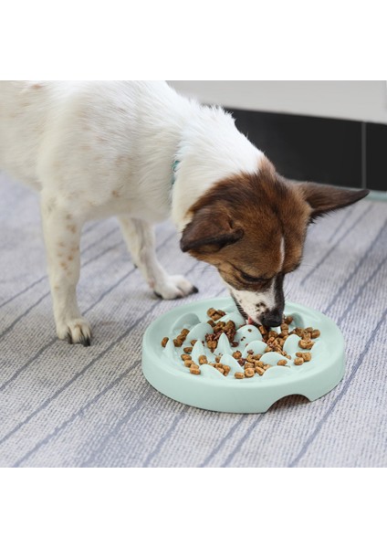 Pembe-S Kedi Köpek Yavaş Yiyecek Kasesi Evcil Hayvan Sağlıklı Boğulma Önleyici Muppet Yavaş Yavaş Yeme Besleyici Bulaşık Sağlıklı Kalınlaşmış Kaymaz Büyük Kapasiteli (Yurt Dışından)