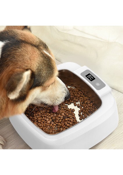 Kare Isıtma Kasesi Evcil Hayvan Maması Isıtma Sabit Sıcaklık Korumak Kedi ve Köpek Su Besleyici Paslanmaz Çelik Kase Pet Isıtma Besleme Suyu Besleyici (Yurt Dışından)