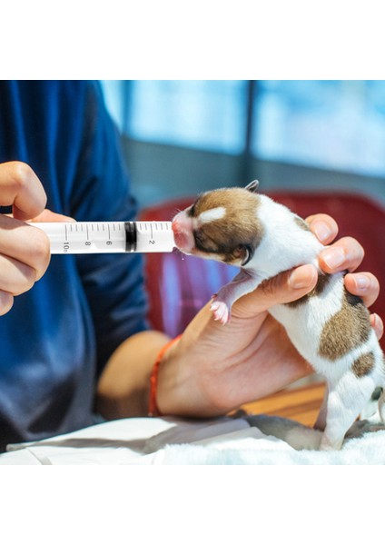 1ml 5 Adet Plastik Şırınga Topraksız Ölçü Parfüm Durulama Tek Kullanımlık Örnekleyici Enjektör 1ML,2.5ML,3ML,5ML,10ML,20ML,30ML,50ML (Yurt Dışından) fırsatları