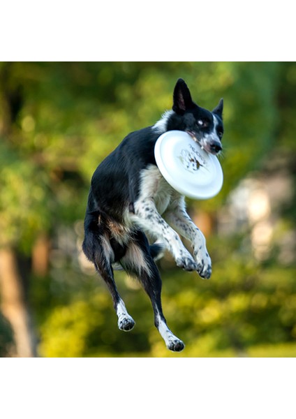 Turuncu Profesyonel Köpek Uçan Disk Rüzgar Geçirmez Dayanıklı Atması Kolay Tabak Yavru Pet Köpek Eğitim Çiğneme Oyuncağı Rekabet Spor Malzemeleri (Yurt Dışından)