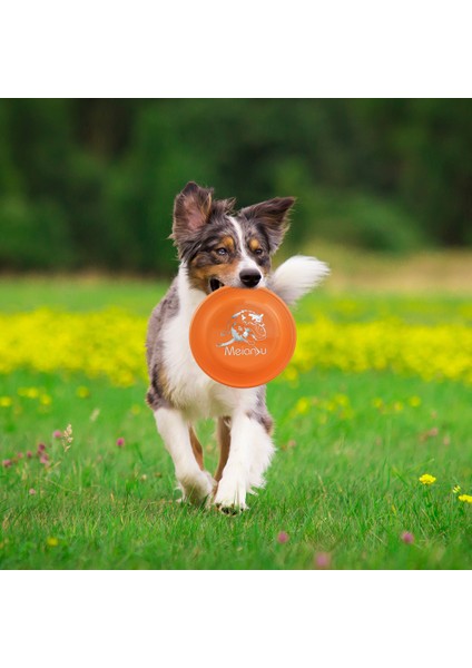 Turuncu Profesyonel Köpek Uçan Disk Rüzgar Geçirmez Dayanıklı Atması Kolay Tabak Yavru Pet Köpek Eğitim Çiğneme Oyuncağı Rekabet Spor Malzemeleri (Yurt Dışından)