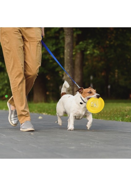 Turuncu Profesyonel Köpek Uçan Disk Rüzgar Geçirmez Dayanıklı Atması Kolay Tabak Yavru Pet Köpek Eğitim Çiğneme Oyuncağı Rekabet Spor Malzemeleri (Yurt Dışından)