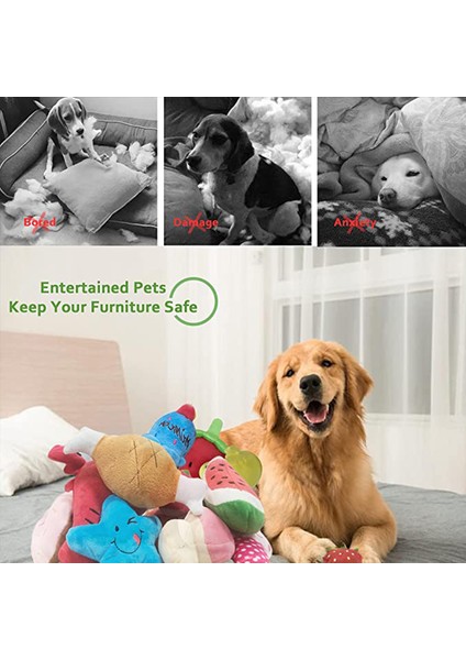 Yeşil Yıldız Sevimli Peluş Köpek Oyuncakları Dolması Gıcırtılı Oyuncaklar Güzel Evcil Köpek Yavrusu Kedi Çekme Çiğneme Vak Ses Oyuncak Peluche Köpekler Interaktif Malzemeler (Yurt Dışından)