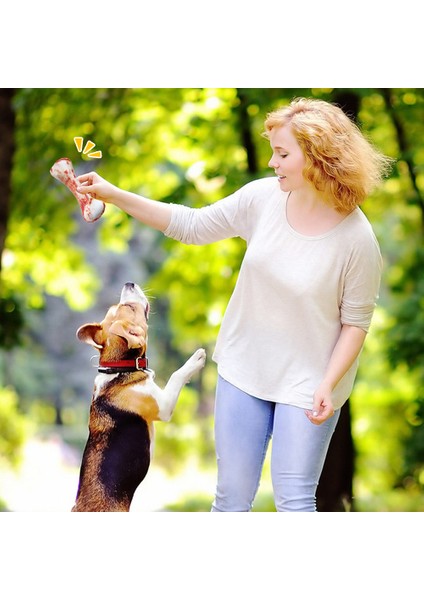 Kemikler Pet Köpek Yavrusu Peluş Gıcırtılı Dişler Çiğnemek Gıda Şekli Yumuşak Komik Oyun Ses Oyuncaklar Köpek Aksesuarları (Yurt Dışından)