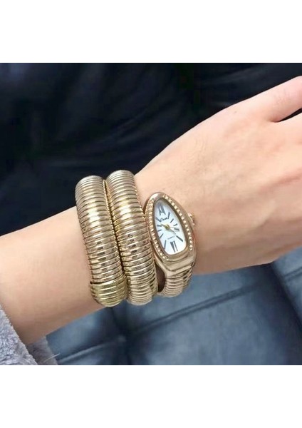 Style4 Yeni Lüks Marka Trendy Yılan Bilezik Saatler Kadın Moda Bilezik Infinity Izle Vogue Kızlar Marka Kuvars Saat Religios (Yurt Dışından) fiyatları