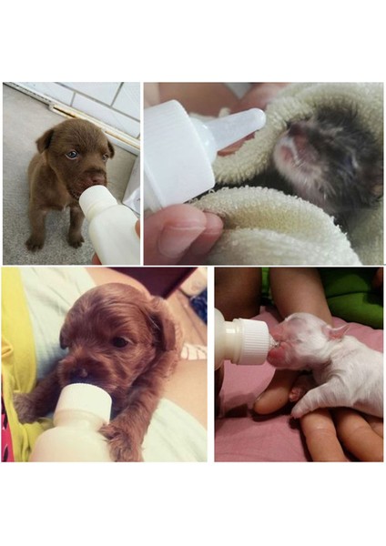 Boyutu 3 50 ml Yavru Yavru Biberon Seti Pet Köpek Kedi Bebek Emzirme Suyu Süt Besleyici Temizleme Fırçası ile Yenidoğan Kedi Içme Şişesi (Yurt Dışından) indirimleri