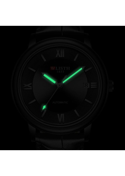 Siyah Altın Wlısth Basit Erkek Otomatik Mekanik Saat Su Geçirmez Trend Erkek Iş Erkek Kol Saatleri Relogio Masculino (Yurt Dışından) fırsatları