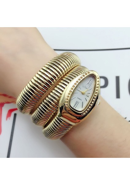Style2 Yeni Lüks Marka Trendy Yılan Bilezik Saatler Kadın Moda Bilezik Infinity Izle Vogue Kızlar Marka Kuvars Saat Religios (Yurt Dışından)