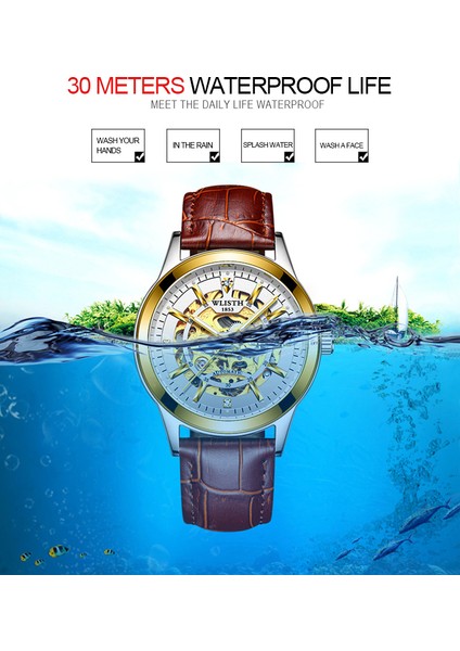 Gül Wlısth Sıcak Satış Erkekler Bilek Mekanik Izle Moda Otomatik Sarma Aydınlık Su Geçirmez Erkek Saatler Reloj Hombre (Yurt Dışından) indirimleri