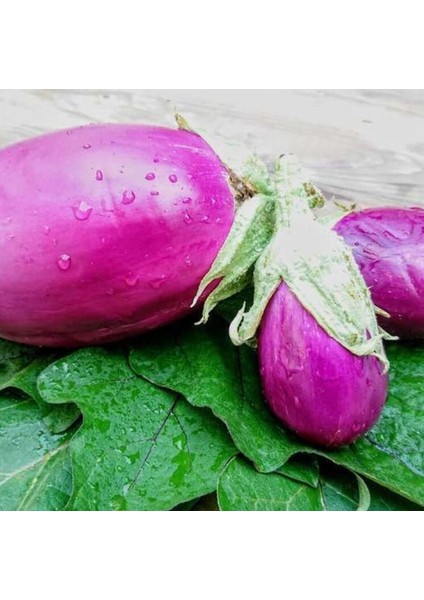 Rosita Etli Patlıcan Tohumu (15 Tohum)