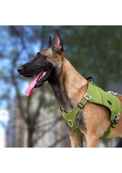 Cordura Kumaşlı Cepli Yeşil Göğüs Tasması indirimleri