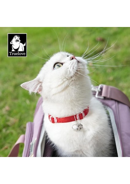 Elastik, Kırmızı Kedi Boyun Tasması
